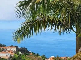 Boutique Chalet in Calheta
