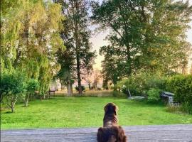 Haus mit Wasserblick, hotel in Altenpleen