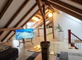 Baltmannsweiler CHALET style top floor apartment no smoking