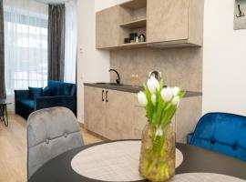 Central Station Apartment No4, hotel in Kaunas