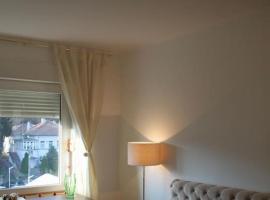 Cozy with parking, Hotel in Zemun