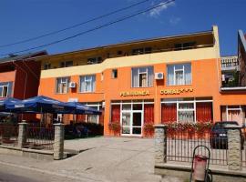 Pension Coral, guest house in Baia Mare