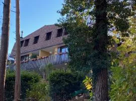 LA CASA NEL BOSCO, DI MARI