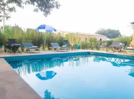 Jungle Book Ranthambore