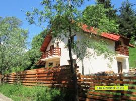 Casa Maia Dambovicioara, pet-friendly hotel in D&icirc;mbovicioara