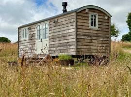 Private and peaceful stay in a Luxury Shepherds Hut near Truro, farm stay in Truro