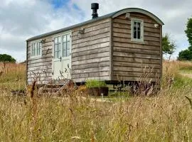 Private and peaceful stay in a Luxury Shepherds Hut near Truro