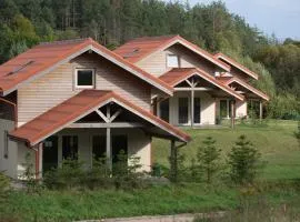 Aurora houses