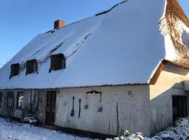 Ferienwohnungen im Reetdachhaus