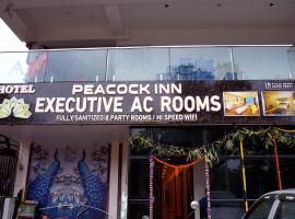 HOTEL PEACOCK INN, hotel v destinaci Gnānapuram