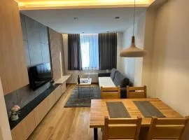 Apartman Viktor 302 - Zlatni Javor