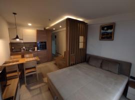 Milmari N80, Kopaonik, hotel v destinaci Raška