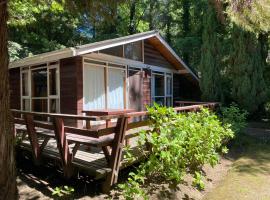 Caba&ntilde;as Loncotraro, casa de campo em Puc&oacute;n