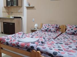 Sobe SANjA: Pirot şehrinde bir kiralık tatil yeri