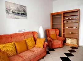 Spacious Apartment Below Spilberk Castle