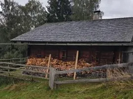Almhütte für Summer und Wintersport