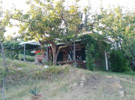 Olive gardens cottage, hotel ramah hewan peliharaan di Portoroz
