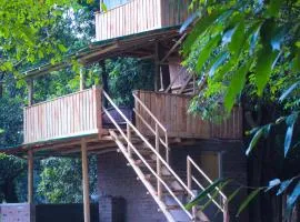 Forest Tree Top Holiday Resort