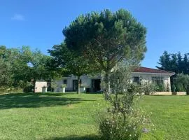 Le Clos du Pontet
