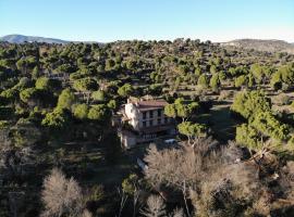 Casa Valdesanmartin - Country House, 10500sqm, Pool, Paddel & Bbq, vacation home in El Tiemblo