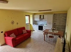 Mitcho De Mé CIR N 0111