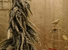 Cozy Compact Flat in the City Center