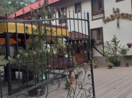 Hanul Anitei La paducel, hotel en Sărata-Nenciuleşti