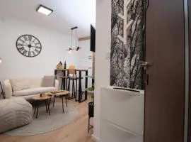 Cute 1BDR in City Center