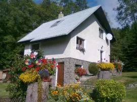 Holiday home in Marianska - Erzgebirge 1664