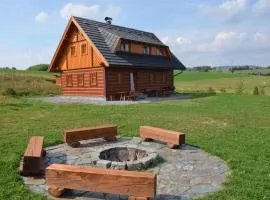 Holiday home in Jilove u Drzkova 1736