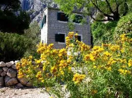 Holiday Home Dalmatinska Kuća