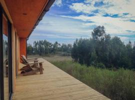 Casa Las Golondrinas, holiday home in Cobquecura