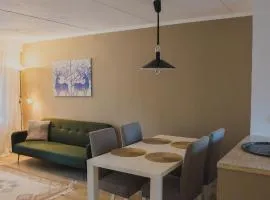 Remontoitu saunallinen kaksio autohallipaikalla