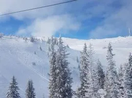 Vikendica Jahorina J&K