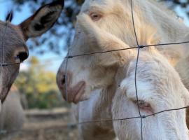 Agriturismo Pranu, hotel a Sorgono