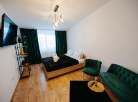 Modern Loft, apartman u gradu 'Suceava'