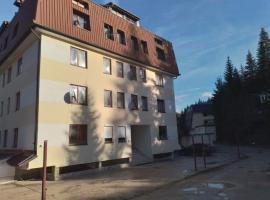 Apartman Mila Vla&scaron;ić, hotel que aceita pets em &Scaron;i&scaron;ava