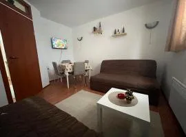 Apartman Cogan - 100m from Gondola - Brzece