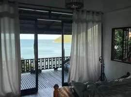 Hidden Viewpoint House