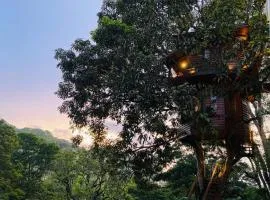 Kandy Tree House