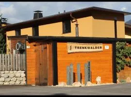 Apartment Tirol