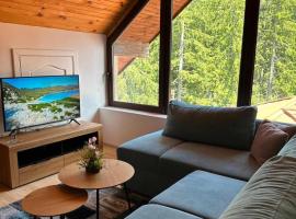 Pamporovo Rhodopi Pearl Apartments - Private Apartments, hotel in Pamporovo
