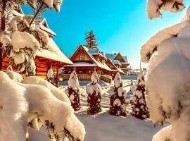 Chaty Misiagi - domki na wynajem