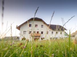 Guesthouse Macesen, hotel v destinaci Spodnja Sorica