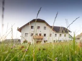 Guesthouse Macesen