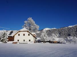 Ferien am Land - WALDBAUER、Rossleithenのホテル