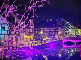 New ! VUE PETITE VENISE-PLACE TO BE OLD TOWN - PARKING