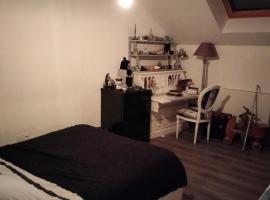 Le petit romain, hotel in Joue-les-Tours