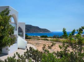 Aelia Luxury Villa, hotel v destinaci Amoopi