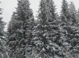 Apartmani Sorak Kopaonik, Studio Apartman A10